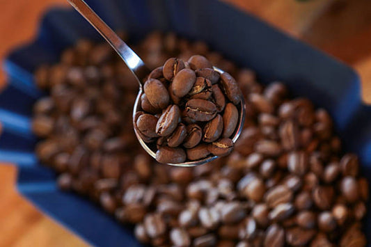 How to Choose Gourmet Coffee Beans by Roast Level and Flavor Notes
